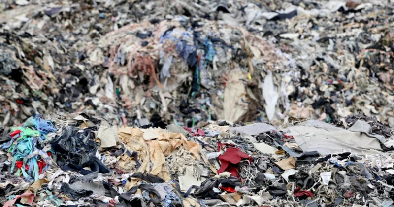 Fransız Senatosu, hızlı moda karşıtı tasarıyı ezici çoğunlukla kabul etti