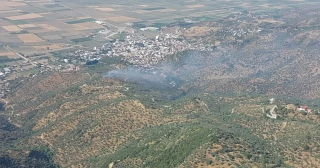 Aydın da, tarım arazisindeki yangın 1,5 saatte söndürüldü Aydın Haberleri