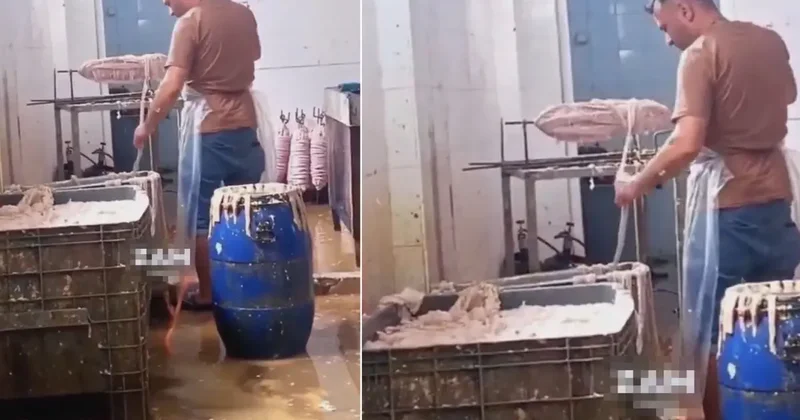 Kokoreçe tövbe ettirecek görüntüler