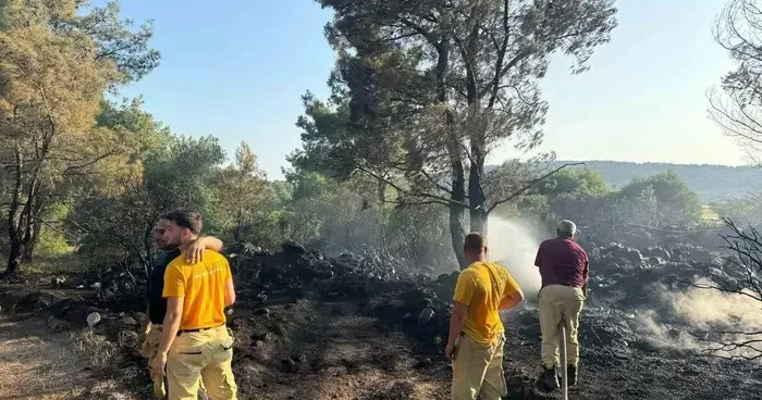 Mangal yakarak orman yangınına neden olan şahıs tutuklandı