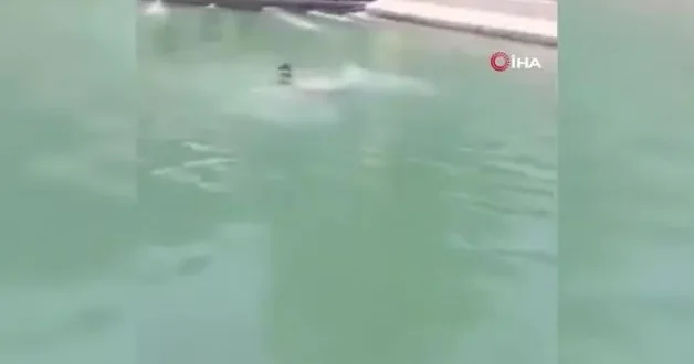 Balıklıgöl’de yüzen şahsa yaptığı yanına kar kalmadı!