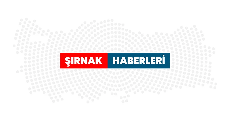 Şırnak ta kaçakçılık operasyonlarında 10 kişi hakkında işlem yapıldı Şırnak Haberleri