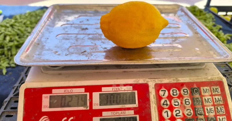 Limonun suyu çıktı: Tanesi 27 lira Sözcü Gazetesi