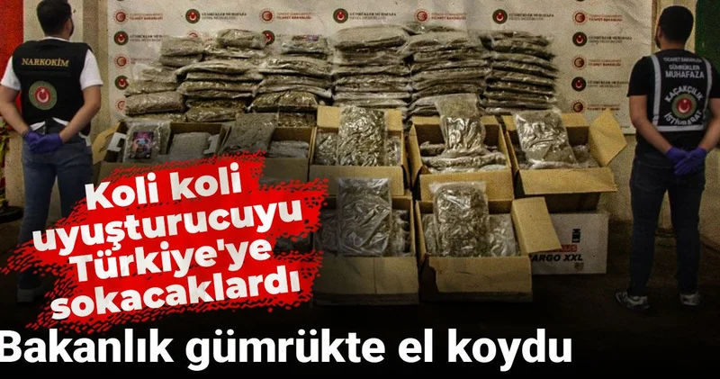 Bakanlık gümrükte el koydu: Koli koli uyuşturucuyu Türkiye ye sokacaklardı