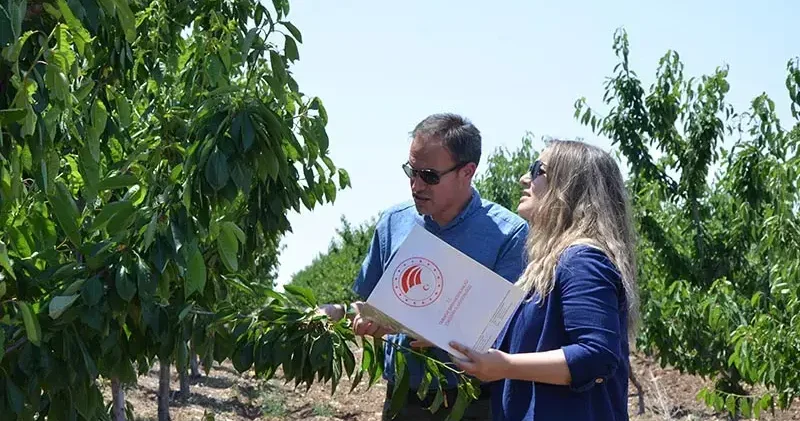 TBMM Zirai Don Olayını Araştırma Komisyonu, Eskişehir’de kiraz bahçelerini inceledi
