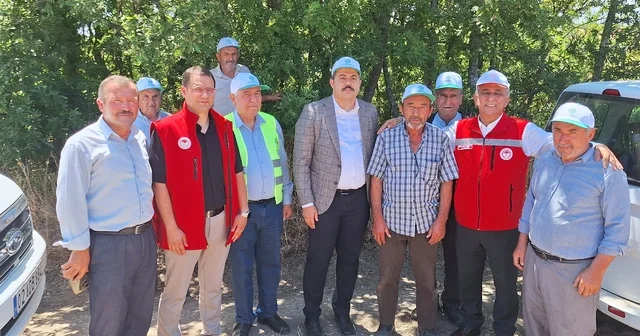 Vezirköprü de kanola hasadı başladı Samsun Haberleri