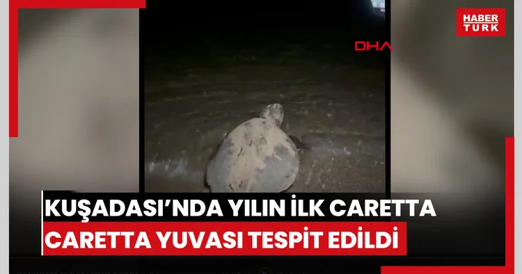 Kuşadası’nda yılın ilk caretta caretta yuvası tespit edildi