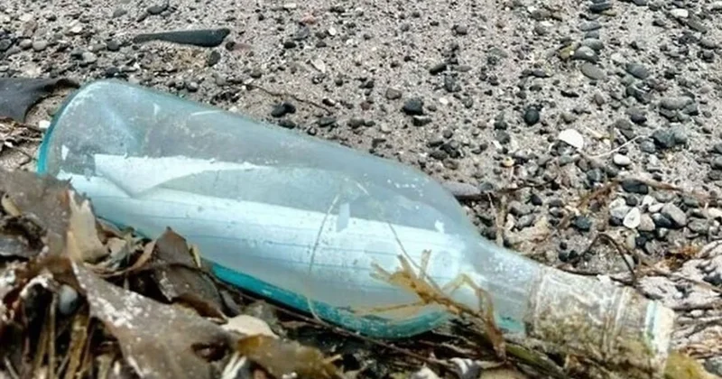 13 yıl sonra kıyıya vurdu: Dünya onları konuşuyor Sözcü Gazetesi