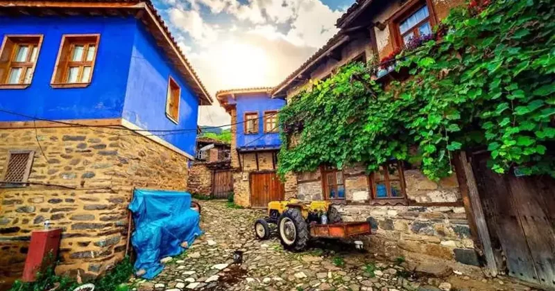 En çok köyü olan iller belli oldu! İşte ilk sıradaki şehir