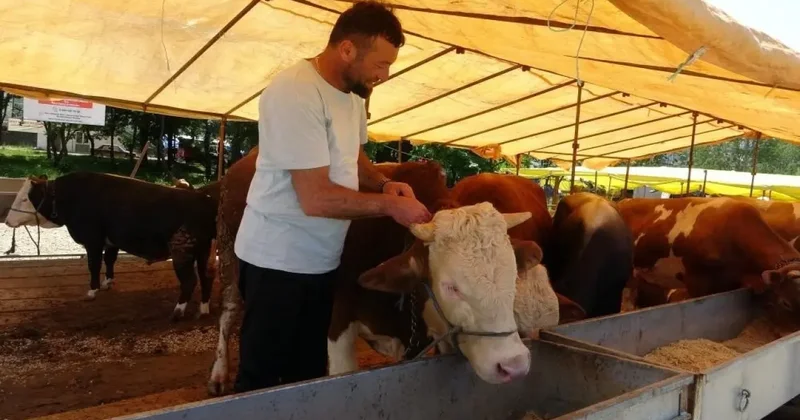 Bakanlık açıkladı: Kapatılan hayvan pazarları ne zaman açılacak?