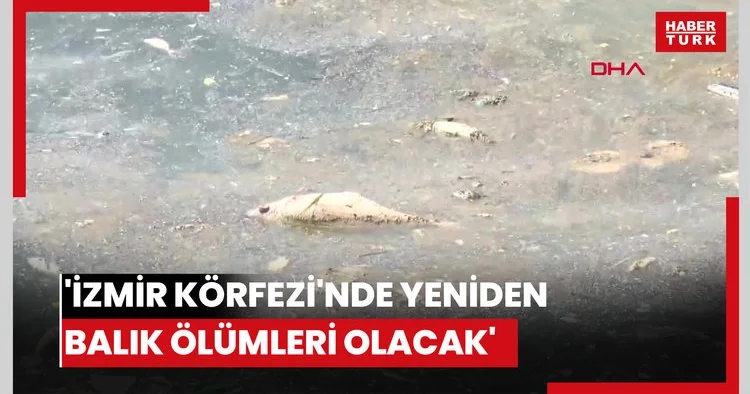 İzmir Körfezi nde yeniden balık ölümleri olacak