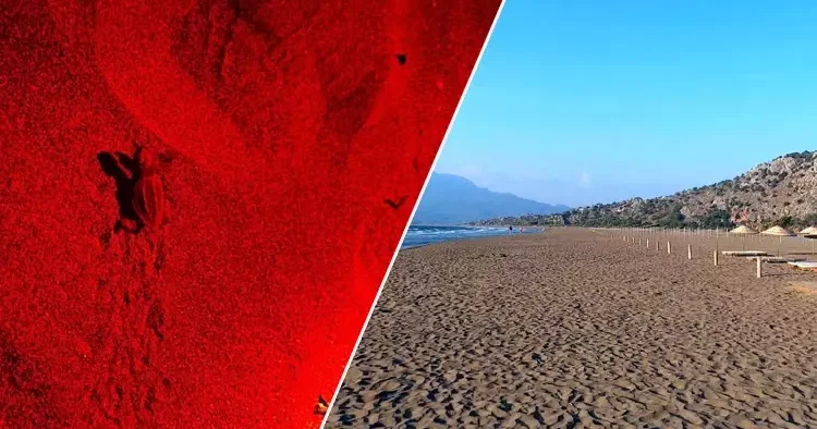 Yılın ilk buluşması Muğla da gerçekleşti! 70 günlük süreç bitti