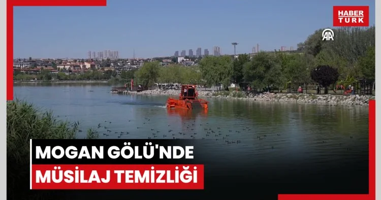 Mogan Gölü nde müsilaj temizliği