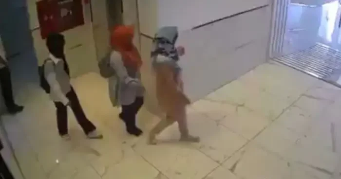 Gaziantep te türbanla hırsızlık kamuflesi: Suçüstü yakalandılar!