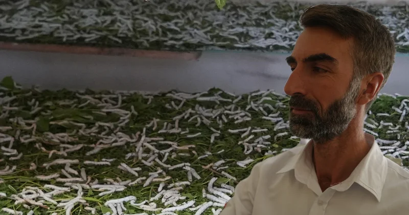Tepkilere aldırmayıp böcek işine girdi köşeyi döndü! Kilosunu 1400 liradan satıyor
