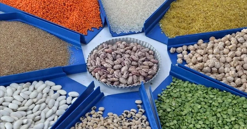 Güneydoğu nun Afrika ülkelerine hububat ihracatı yüzde 32,9 arttı