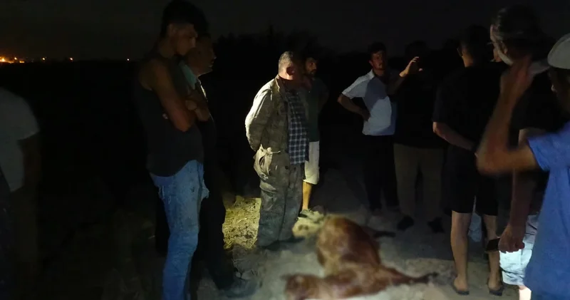 Hatay da korkunç olay! Sanayi bölgesinden geçen dereden su içtikten kısa süre sonra öldüler