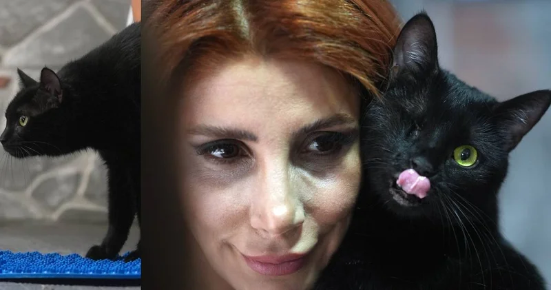 Zeytin patileri ile yaşama tutundu