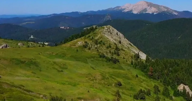 Ilgaz Dağı nda bahar büyüledi: Zirve çiçeklerle renklendi VİDEO İZLE