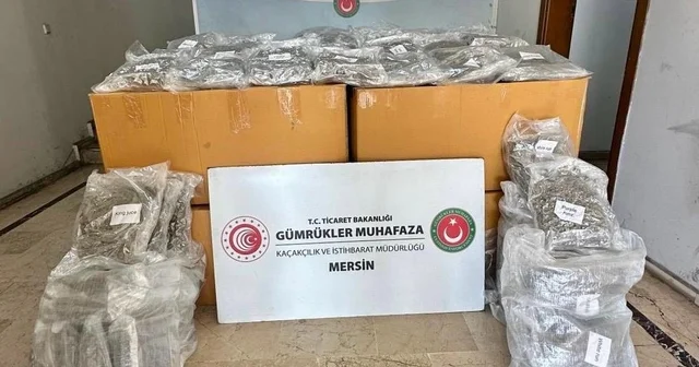 Mersin Limanı nda konteynerde 587 kilo esrar ele geçirildi Mersin Haberleri