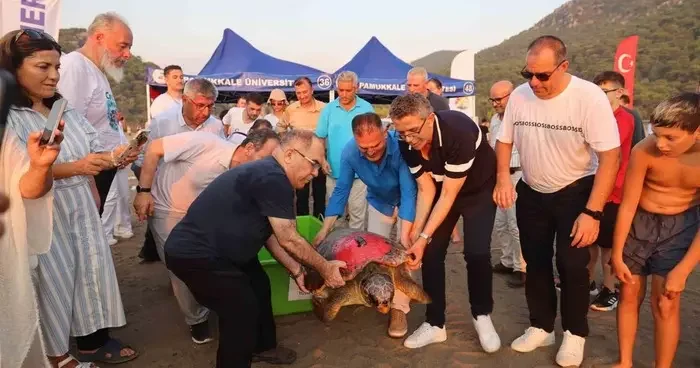‘Tuba’ya ikinci kez uydu takip cihazı takıldı