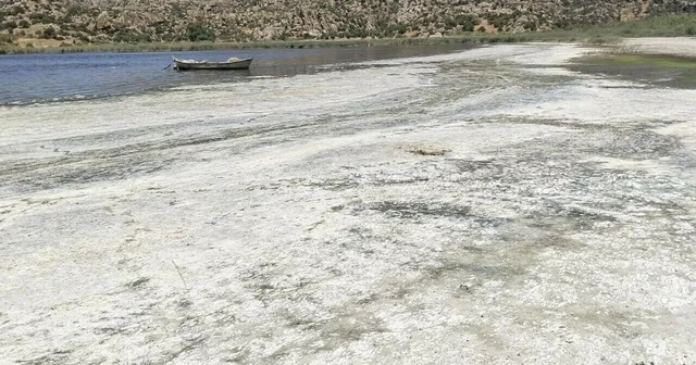 Bafa Gölü ve çevresinde kirlilik alarmı Muğla Haberleri