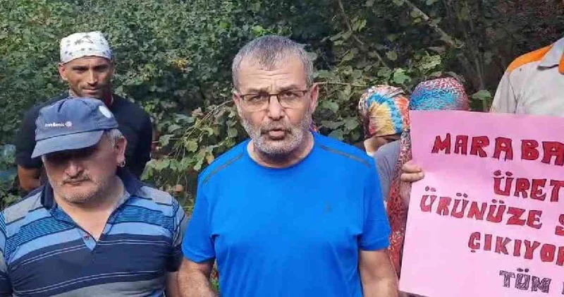 Fındıkta belirlenen fiyat üreticiyi memnun etmedi