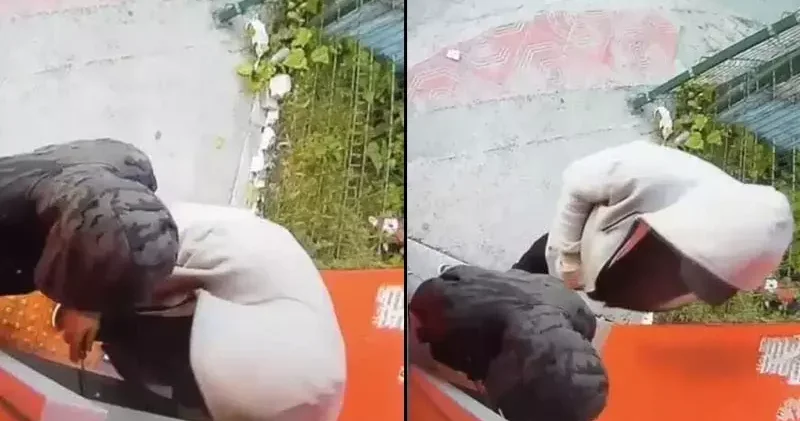 Esenyurt ta ATM lerin para haznesini tornavida ile kıran şüpheli tutuklandı
