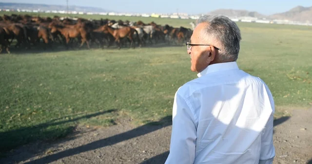 Başkan Büyükkılıç, Hürmetçi Sazlığı nı ziyaret etti Kayseri Haberleri