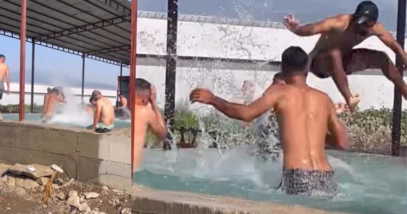 Kavurucusu sıcaktan bunalıp maydanoz havuzuna girdiler