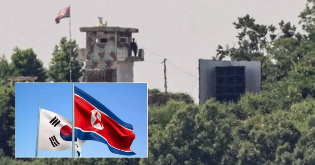 Kuzey Kore den baş düşman a yıllar sonra ilk zeytin dalı Asya Haberleri