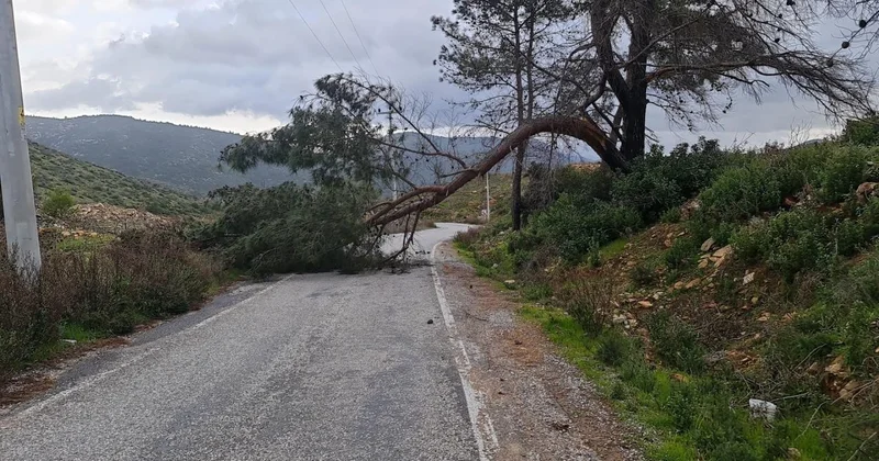 Güneydoğu için kuvvetli rüzgar uyarısı