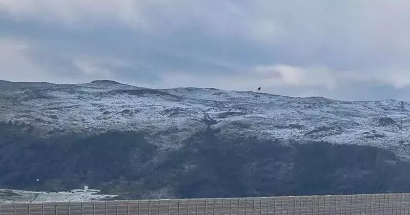 Ardahan ın yükseklerindeki yaylalar, dolu nedeniyle beyaza büründü