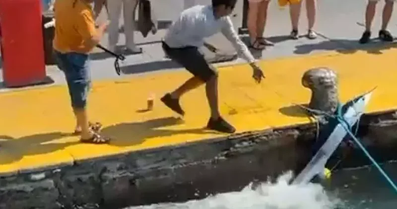 Nesli tükenme tehlikesi olan ‘mavi yelken balığı’nı zıpkınla vurdu; o anlar kamerada