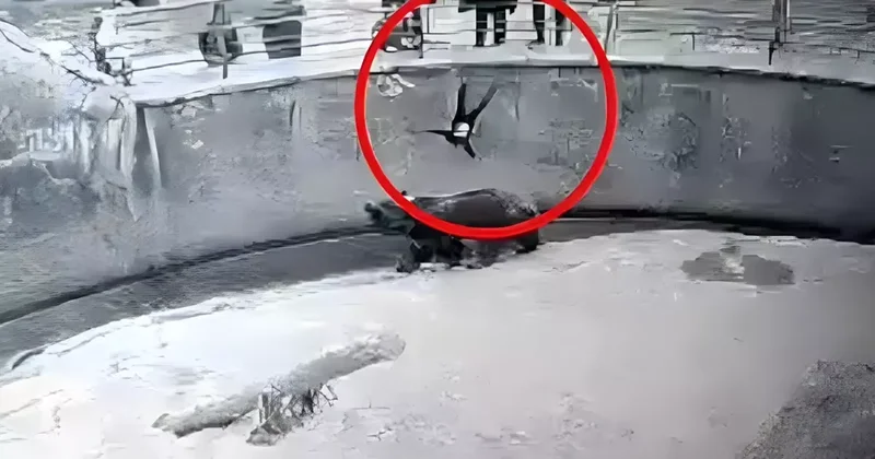 Taşkent te Anne Kızı Bıçaklayarak Öldürdü