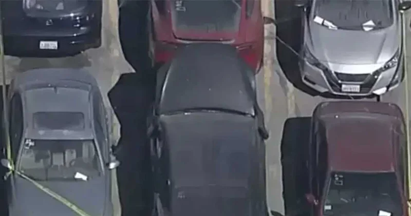 Ünlü şarkıcının otomobilinde ceset bulundu