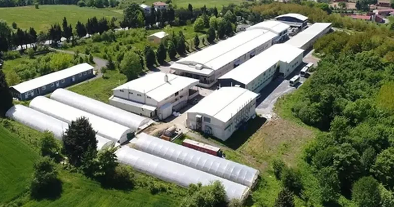 32 senelik köklü markadan kötü haber: Konkordato ilan etti! Ödül almıştı