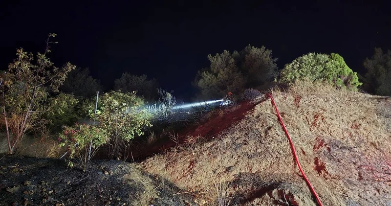 Mudanya da yangın paniği! Alevler yerleşim yerine yaklaşmadan söndürüldü