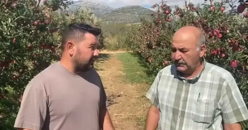 Ispartalı çiftçi kabusu yaşadı! Bir gecede 170 milyon TL zarar ettiler