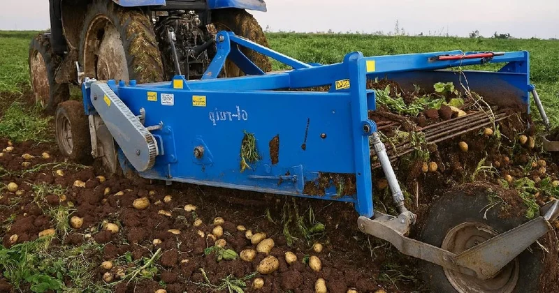 Patatesten soğana, limondan bal kabağına üretim yapan 40 yıllık gıda devi iflasın eşiğinde Sözcü Gazetesi