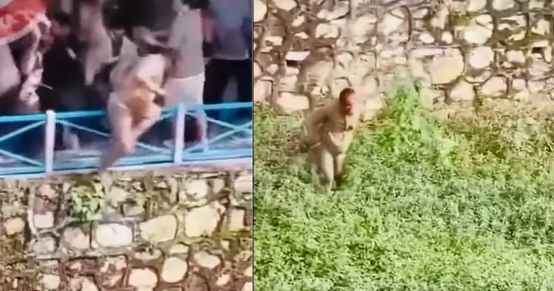 Ülke karıştı, maliye bakanı böyle linç edildi Sözcü Gazetesi