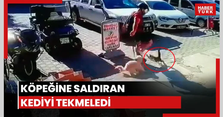 Köpeğine saldıran kediyi tekmeledi