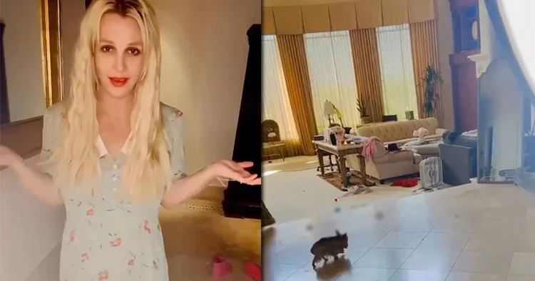 Ünlü şarkıcının içler acısı hali... Bankada milyonları var ama evinin salonu köpek pisliği dolu!