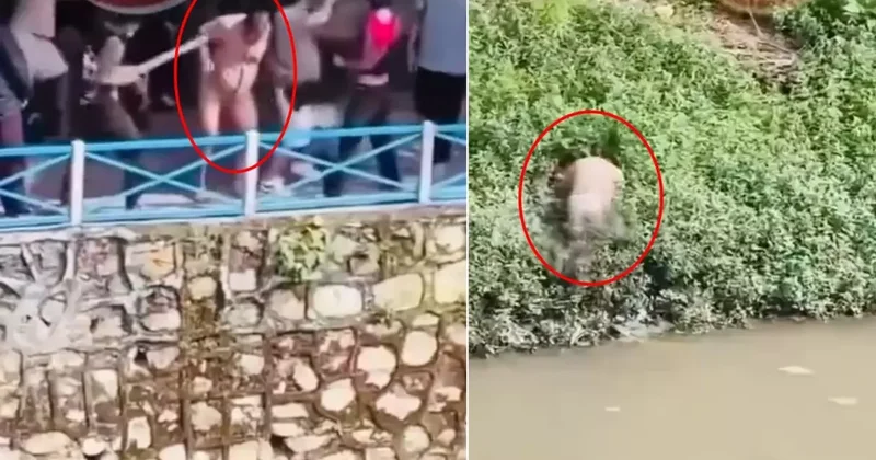 Protestolarla yangın yerine dönen Nepal de ölü sayısı 30 a yükseldi