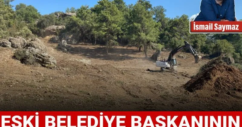 Eski belediye başkanının orman talanına suçüstü