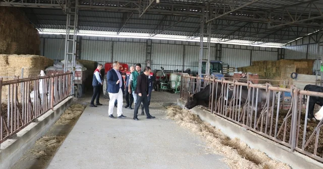 Edirne Tarım ve Orman Müdürü Köse, Lalapaşa daki hayvancılık işletmesini ziyaret etti Edirne Haberleri