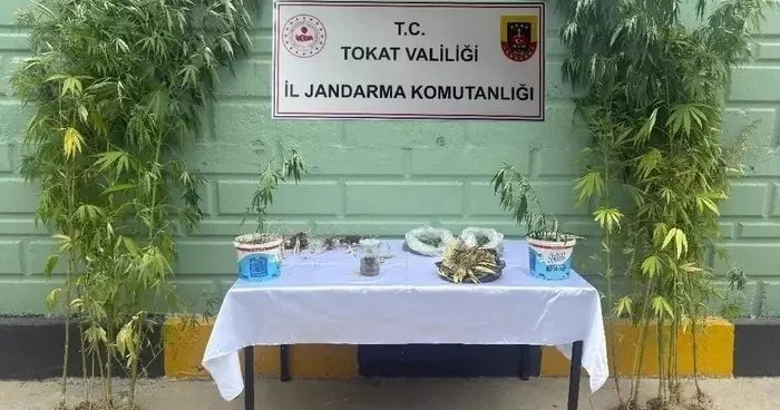 Tokat’ta jandarma ekipleri tarafından 2 ayda 56 kişi hakkında uyuşturucuya bağlı suçlarından işlem yapıldı