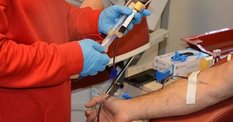 Sahte kan raporu ile ehliyet verdiler: 5 kişi tutuklandı