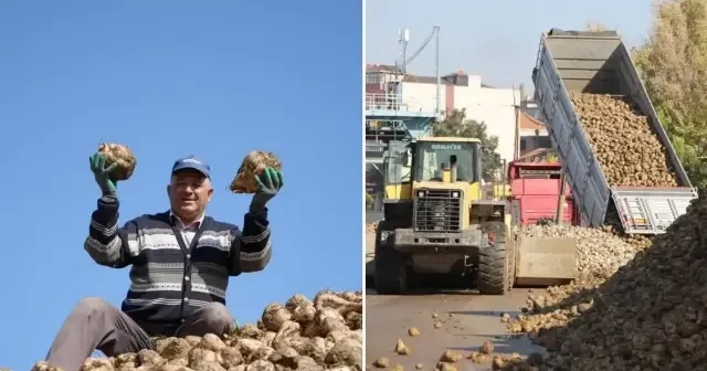 Tarım Bakanlığı: Kuraklık nedeniyle şeker pancarı üretimini kısıtlamayacağız Gündem Haberleri