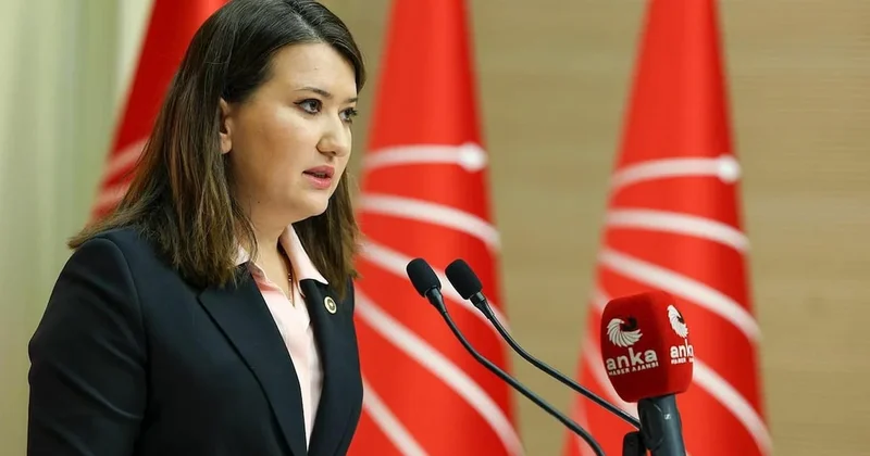 CHP’li Gökçe Gökçen’den Aslı Aydemir tepkisi: “Asıl saldırganlar yargılansın” Sözcü Gazetesi